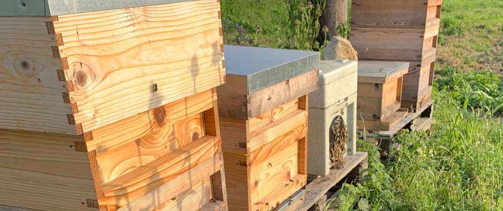 How to Choose the Right Equipment for Your Bee Farm