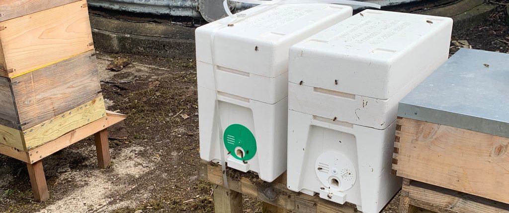 Importance of nucs on the bee farm