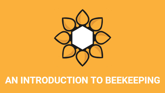 Beekeeping Presentations Contrast 2